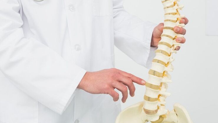 Der Arzt demonstriert den Entwicklungsprozess der Osteochondrose